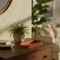 Oblong catch-all tray